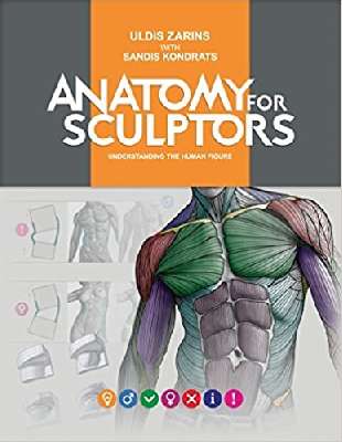 Anatomy for Sculptors Understanding the Human Form