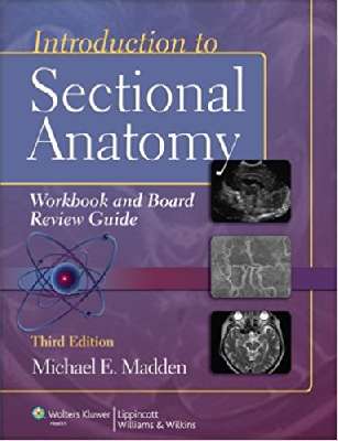 Introduction to Sectional Anatomy Workbook and Board Review Guide 