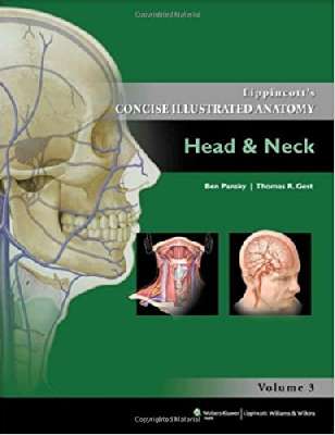Lippincott Concise Illustrated Anatomy: Head & Neck
