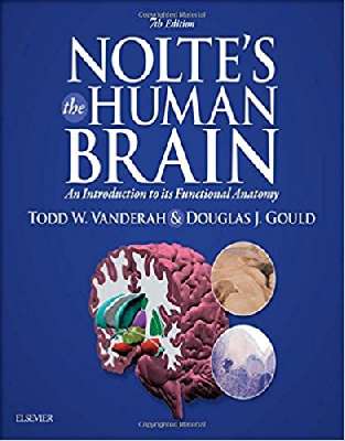 Nolte's the Human Brain An introduction to its Functional Anatomy