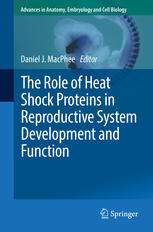 The Role of Heat Shock Proteins in Reproductive System Development and Function